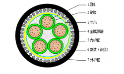 銅芯PVC(XLPE)絕緣鋼帶(鋼絲)鎧裝PVC護(hù)套控制電纜